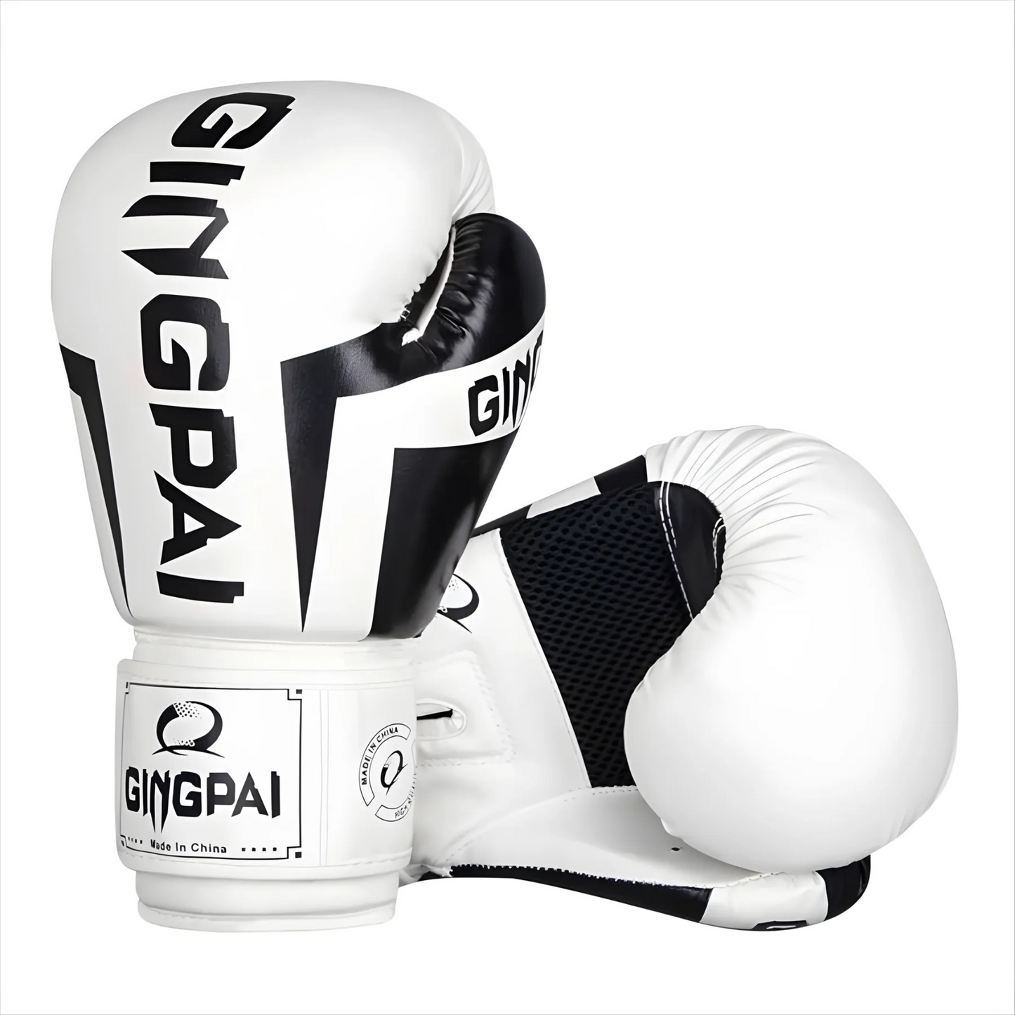 Gingpai M02 Profesionales 12 Oz